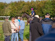 FOB071023-64 - Fergal O'Brien Stable Visit